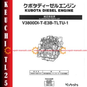 Comprehensive parts manual for Takeuchi TL250 Skid Steer, focusing on engine V3800DI-T-E3B-TLTU-1, including diagrams and details