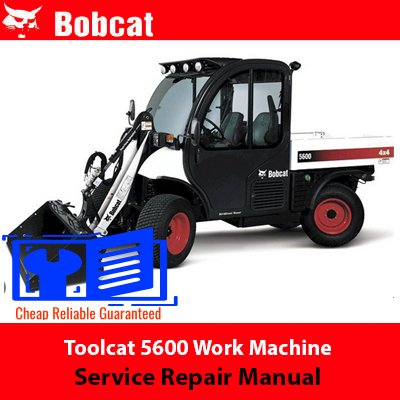 toolcat 5600