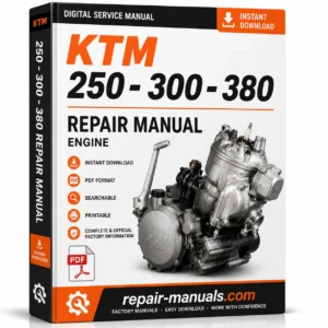 Official KTM 250 300 380 2-Stroke Engine Workshop Repair Manual PDF